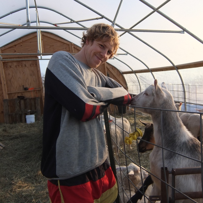 Peter and the goats
